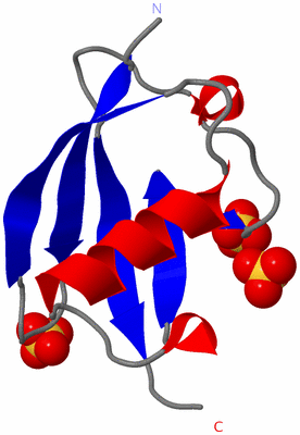 Image Asymmetric Unit