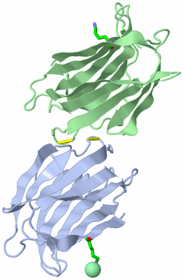 Image Asym. Unit - sites