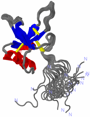 Image NMR Structure - all models