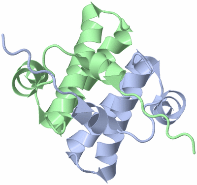 Image NMR Structure - model 1