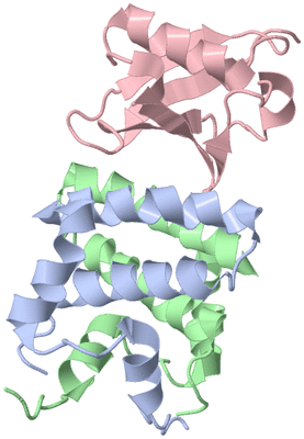 Image NMR Structure - model 1