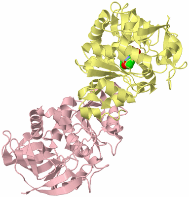 Image Biological Unit 2