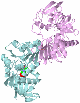 Image Biological Unit 3