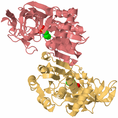 Image Biological Unit 4