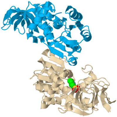 Image Biological Unit 5