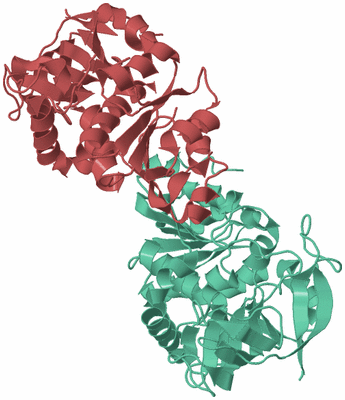 Image Biological Unit 6