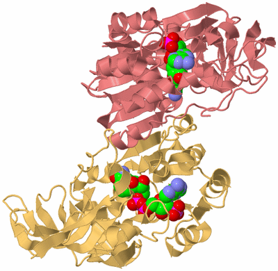 Image Biological Unit 1