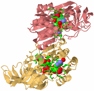 Image Biol. Unit 1 - sites