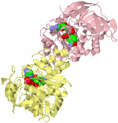 Image Biological Unit 2