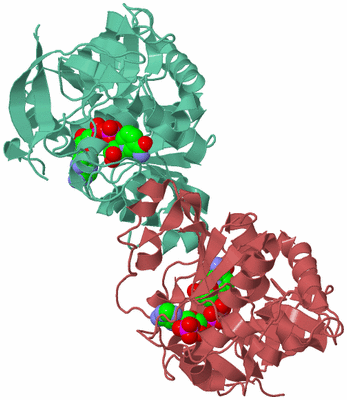 Image Biological Unit 3