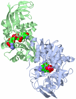 Image Biological Unit 4