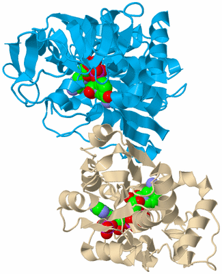 Image Biological Unit 5