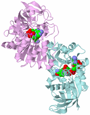 Image Biological Unit 6