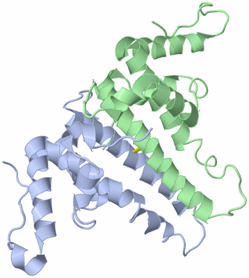 Image Biological Unit 2