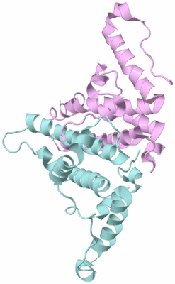 Image Biological Unit 3