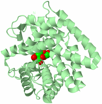 Image Biological Unit 2