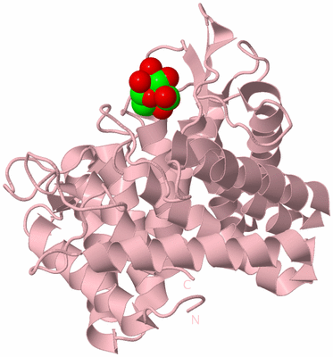 Image Biological Unit 3