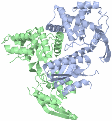 Image Asym./Biol. Unit