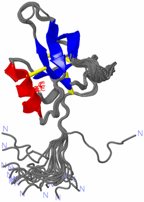 Image NMR Structure - all models