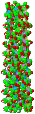 Image Theoretical Model