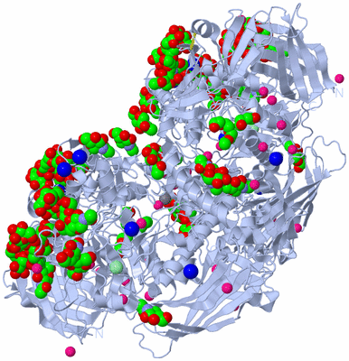 Image Biological Unit 1