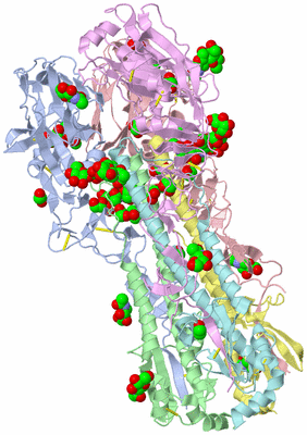 Image Asym./Biol. Unit