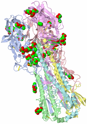 Image Asym./Biol. Unit