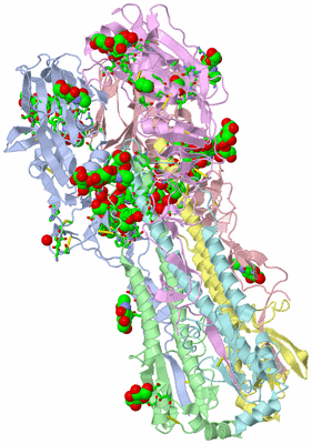 Image Asym./Biol. Unit - sites