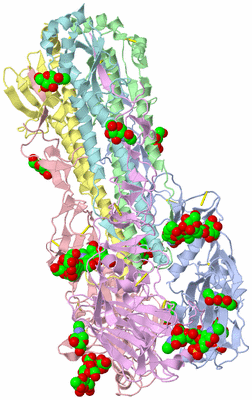 Image Asym./Biol. Unit