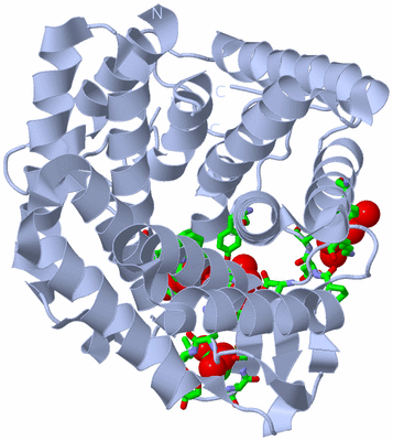 Image Biol. Unit 1 - sites