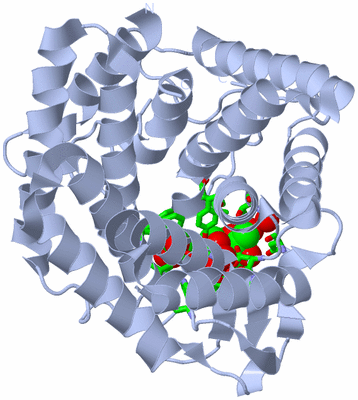 Image Biol. Unit 1 - sites