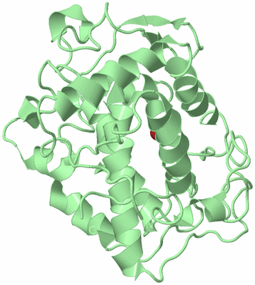 Image Biological Unit 3