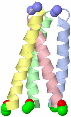 Image Asymmetric Unit