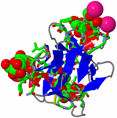 Image Asym./Biol. Unit - sites