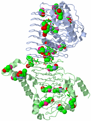 Image Asym./Biol. Unit - sites