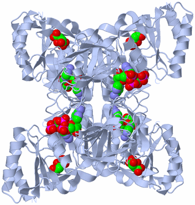 Image Biological Unit 1