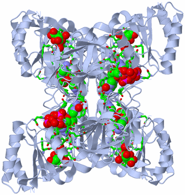 Image Biol. Unit 1 - sites