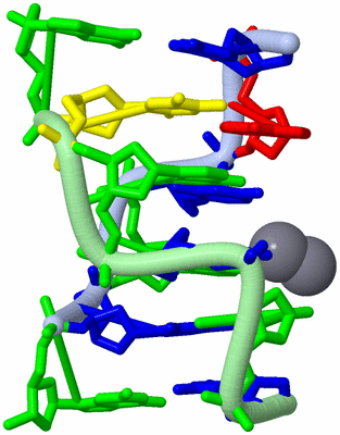 Image Biological Unit 1