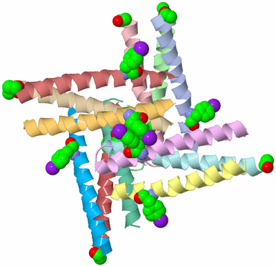 Image Asymmetric Unit