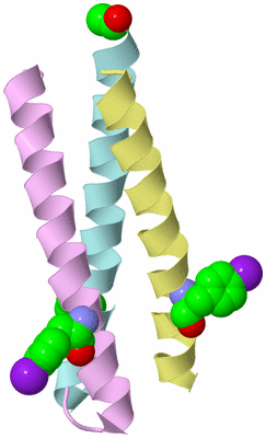 Image Biological Unit 3