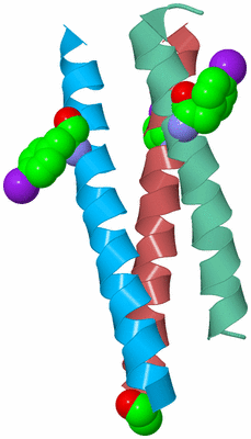 Image Biological Unit 4