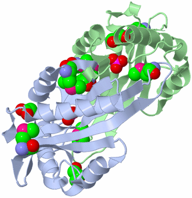 Image Asym./Biol. Unit