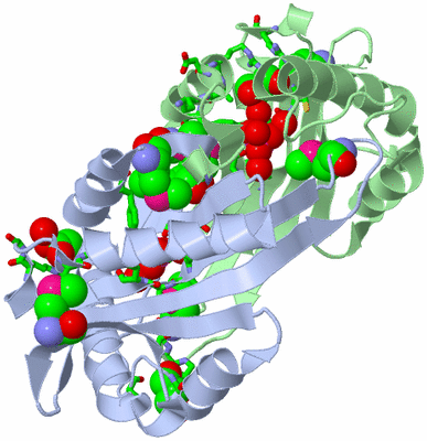 Image Asym./Biol. Unit - sites