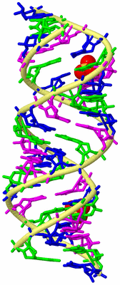 Image Biological Unit 2