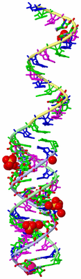 Image Asym. Unit - sites