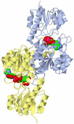 Image Biological Unit 1