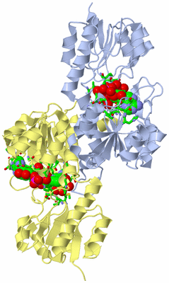 Image Biol. Unit 1 - sites