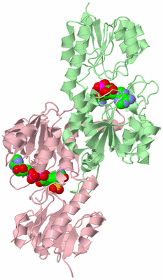 Image Biological Unit 2