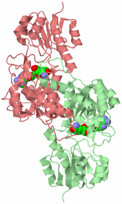 Image Biological Unit 2