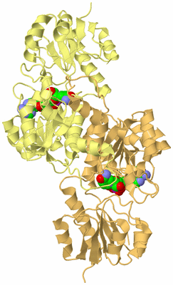 Image Biological Unit 3